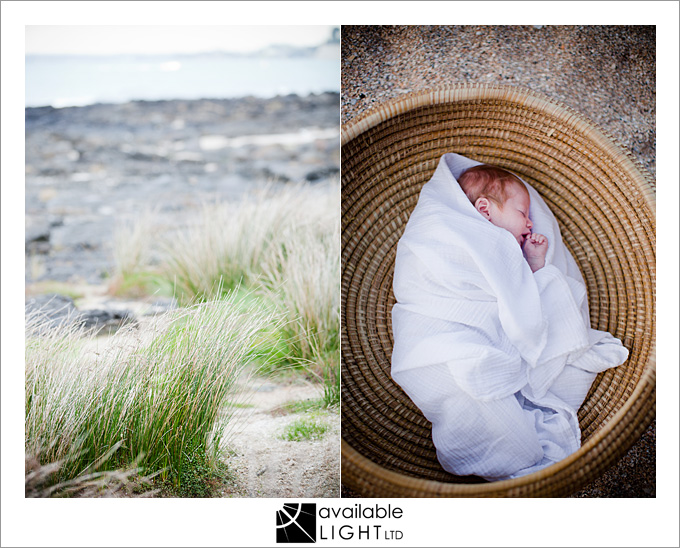 auckland newborn photographer