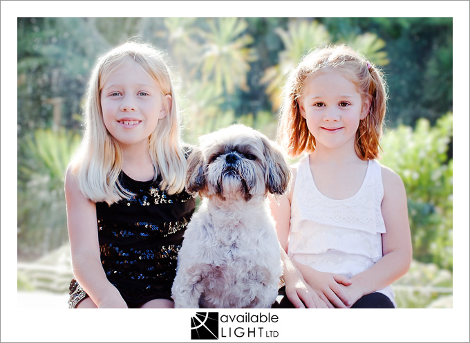 auckland pets photographer